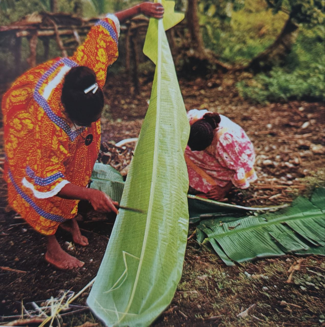 bougna île Ouen Nouvelle-Calédonie 1980 préparation feuilles bananier tradition kanak cuisson sous terre