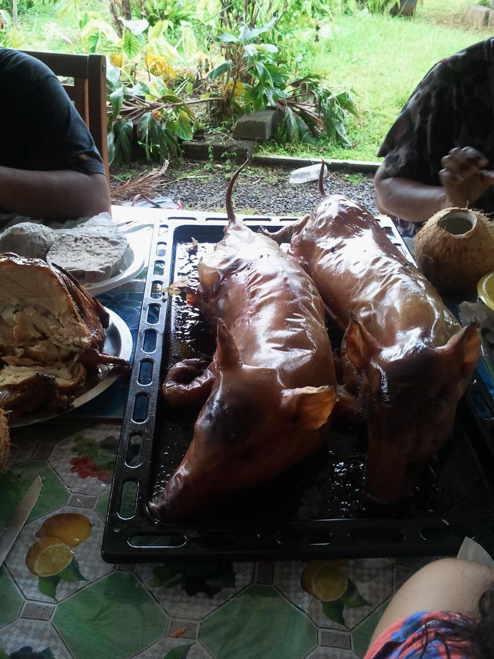 deux cochons entiers sur le plat repas familial wallisien dimanche Pacifique