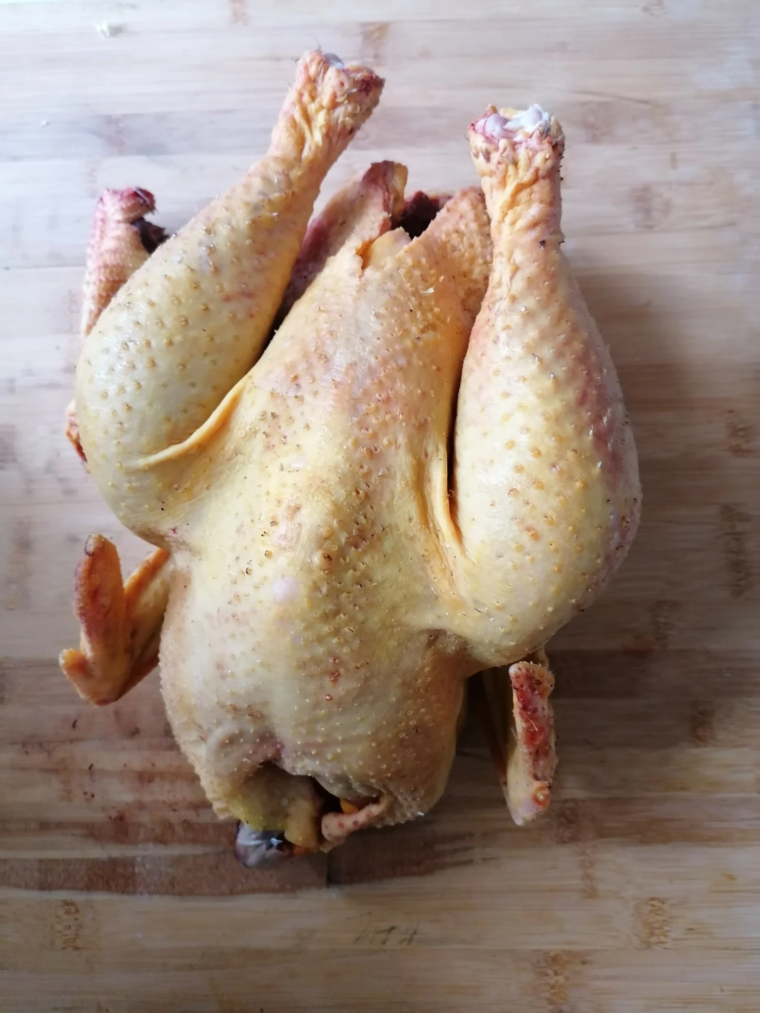 Photographie personnelle d’Yves illustrant le coq au cidre du Pays d’Othe (ALT à vérifier et ajuster selon le contenu réel de l’image)